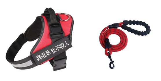 Fashion Simple Pet Leash Chest Strap Set (Option: Red-L)