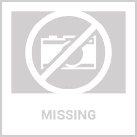 Prevue Pet Products Quiet Exercise Wheel (Option: Small)