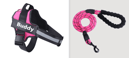 Fashion Simple Pet Leash Chest Strap Set (Option: Pink-L)